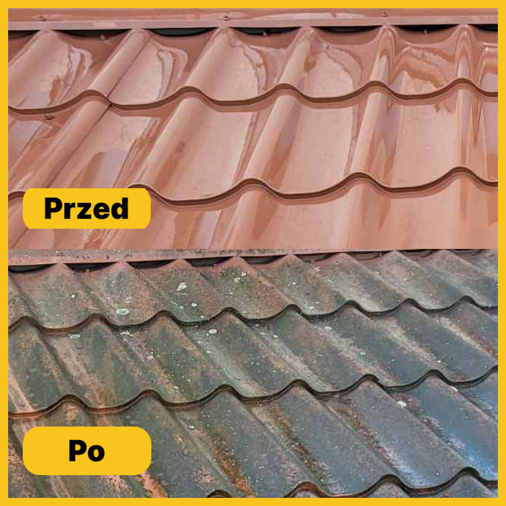 czyszczenie dachu gdansk