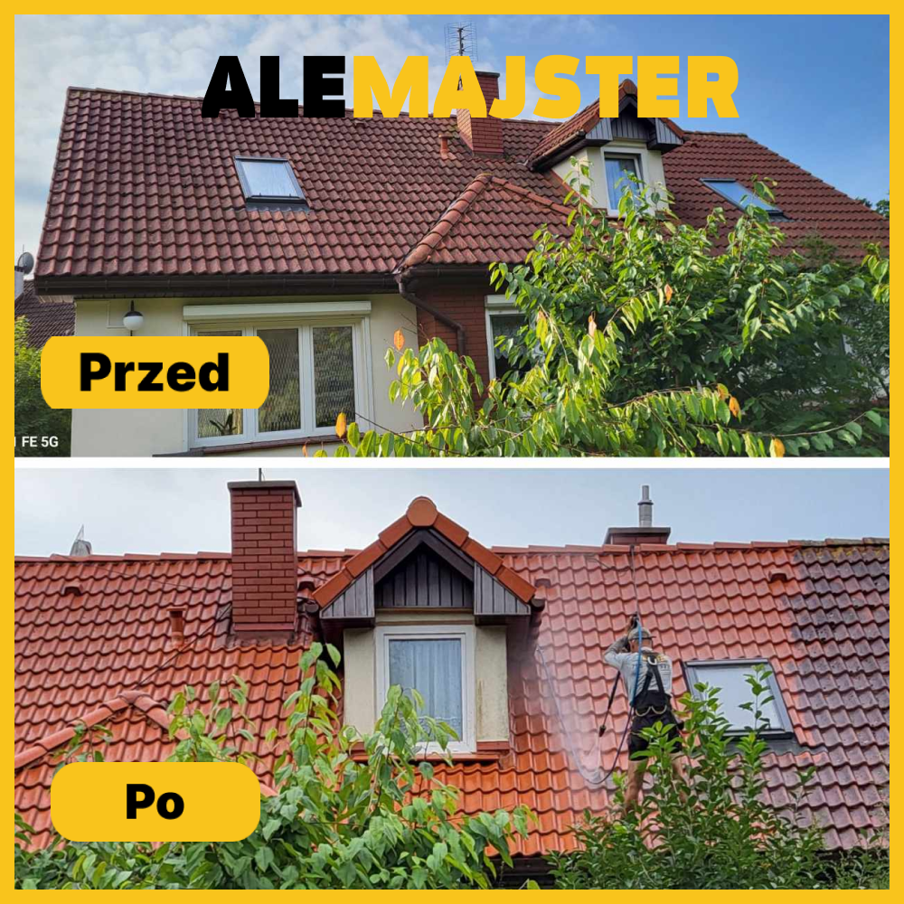 czyszczenie dachu gdynia